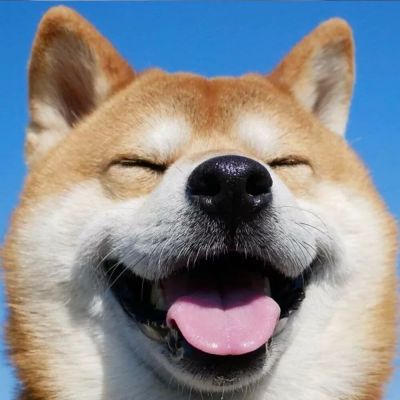 燕子来时新社，梨花落后清明。