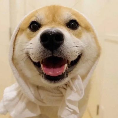 

<p>为什么家长只关注成绩呢？那废话，他们能看得懂题吗？</p>