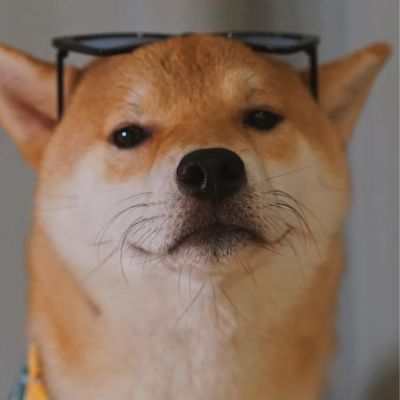 我相信群众的革命意识最终会将革命之火带回。