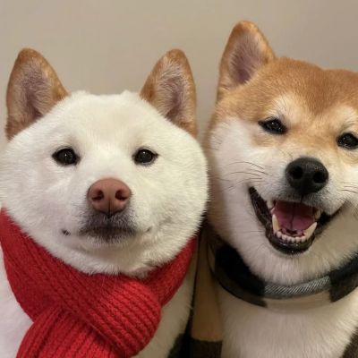 <p>纵是年少风流可入画，却也自成风骨难笔拓。——永安调</p>