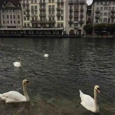 <p>我之所以，把自己吃的这么圆，就是为了不让别人看扁。</p>