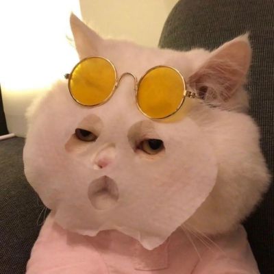 <p>人生上半场激情，下半场亲情，中间插播的都是婚外情。</p>