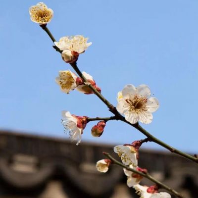 <p>世上99%的事情，都能用钱解决，剩下的1%需要更多的钱。</p>