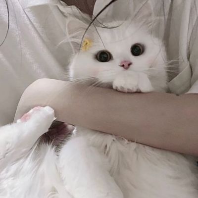 <p>你早起，我晚起，我们早晚不在一起。</p>