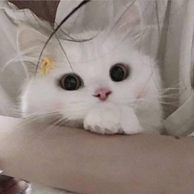 <p>很多时候，你骄傲的以为你已经掌控了命运，其实，一直以来，你根本还是被命运掌控着。</p>