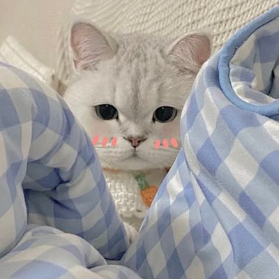 我永远在这里，涌着爱面朝沧海