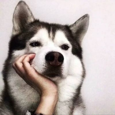 <p>到底是幸运还是不幸呢? 你眼中的世界 大概是最它纯粹的摸样吧?</p>