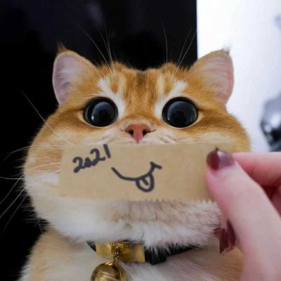 

<p>好看的皮囊三千一晚，有趣的灵魂要车要房。</p>