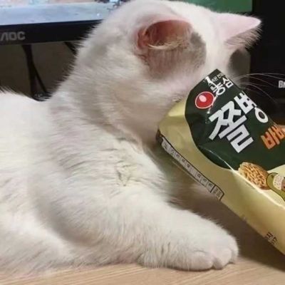 上古有大椿者，以八千岁为春，八千岁为秋。