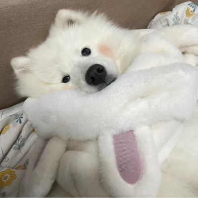 <p>本以为雨水能冲这悲伤郁闷的心情,如今却发现这雨水打在脸上是如此的令人心烦。</p>