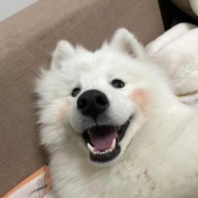 <p>双十一过后的乐趣，就是每天回去看看，买过的商品有没有涨价。</p>