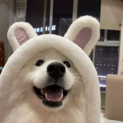 <p>你给我口红，我给你口红</p>