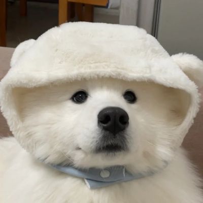 <p>总有一天一定会……有站在你身边与你展望着同样的未来的伙伴出现。</p>