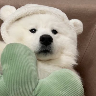 <p>感情久了，就不是爱了，而是依赖。然后当失去时，那并不是痛，而是不舍。</p>