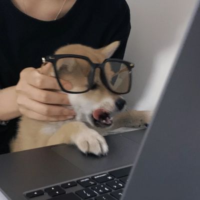 <p>有伤害人的人存在的话，也会有能抚慰伤痕的人。</p>