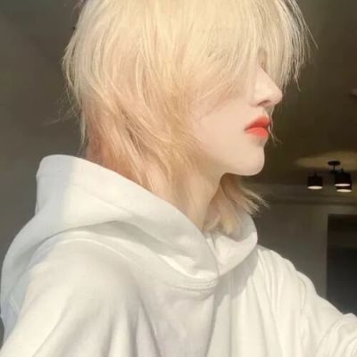 <p>心之向往，身亦能至。</p>
