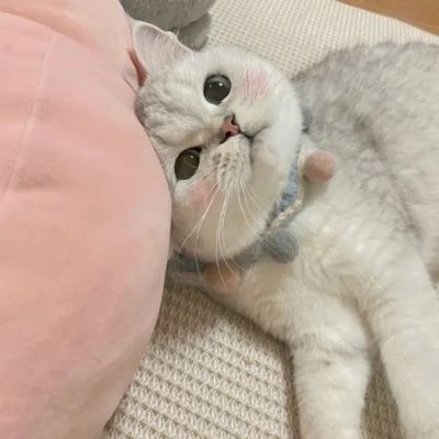 <p>我除了投三分，就什么都没有了……——灌篮高手</p>
