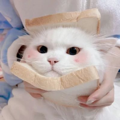 <p>事业常成于坚忍，毁于急躁</p> - 卡通头像 - 12