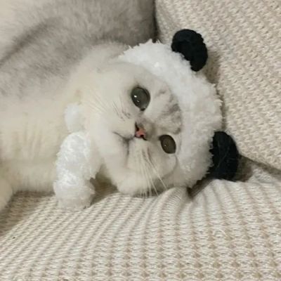 <p>我今天送了你一支口红，你拿到之后很开心，在他的嘴巴上亲了一下，或许他送你口红的时候，你也会在我的嘴巴上亲一下</p>