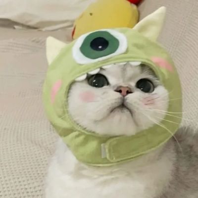举杯邀明月，对影成三人。