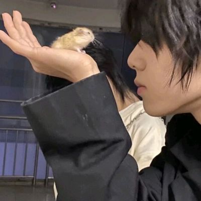 夕阳真是耀眼无比啊。