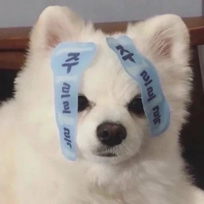 <p>「习惯了」，是个很强大的短句，它能代替所有的一言难尽。</p>