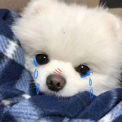 <p>我的一年，活了一天 重复364遍.</p>