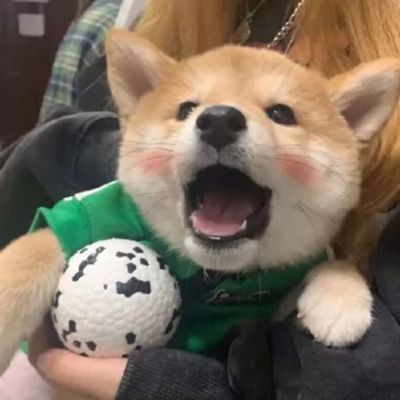 <p>来，让叔叔检查一下身体。</p> - 卡通头像 - 12