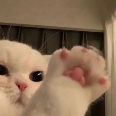 夕阳真是耀眼无比啊。