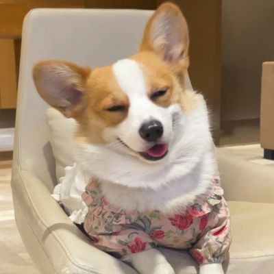 

觉得不甘心的话就好好活下去，靠自己的力量活下去。