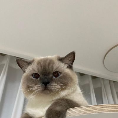 <p>活在别人的掌声中，是禁不起考验的人</p>