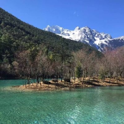 <p>前尘种种，似烟似幻，惟有此人教我深感不负大好春光。——魔道祖师</p>
