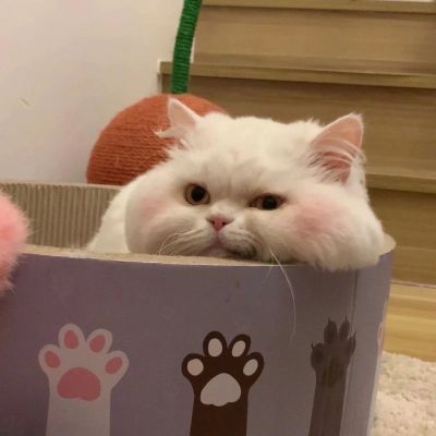 <p>挣钱就像便秘 — 老难了，花钱就像拉稀 — 憋不住。</p> - 卡通头像 - 12