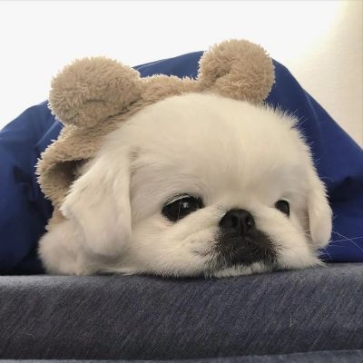 <p>一举一动，都是承诺，会被另一个人看在眼里，记在心上的。</p>