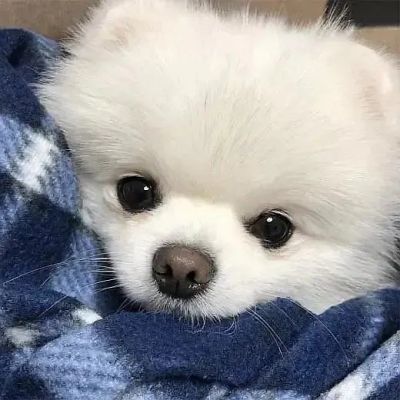 <p>和你在同一个时间出现在相同的地方，不是奇迹吧，不是偶然吧。我可以认为这是“命运”吧。</p>