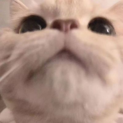 <p>欢迎来到2019，恭喜你进入了新的，扎心的一年。</p> - 卡通头像 - 12