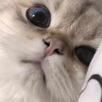 

<p>生活坏到一定程度就会好起来，因为它无法更坏。</p> - 卡通头像 - 12