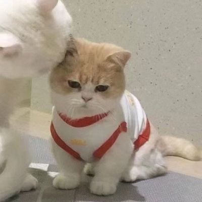 <p>我们只是守护着自己认为重要的事情，只是因为这样我们不顾生死</p>