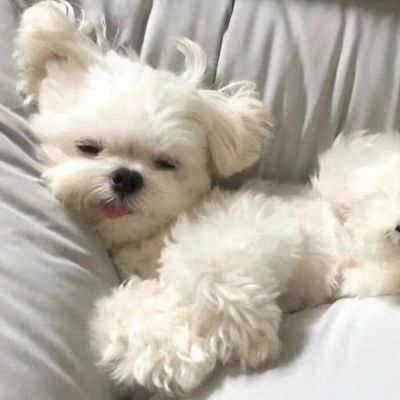 什么叫忍者？学会忍耐的人就叫忍者。