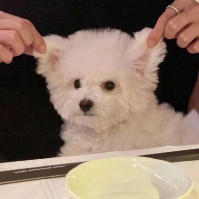 <p>道理我都懂 可感情这东西 它不讲道理.</p>