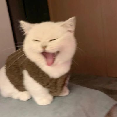 野蛮人之间人吃人，文明人之间人骗人。