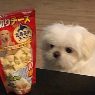 

<p>别羡慕他们，他们也会分的。</p>
