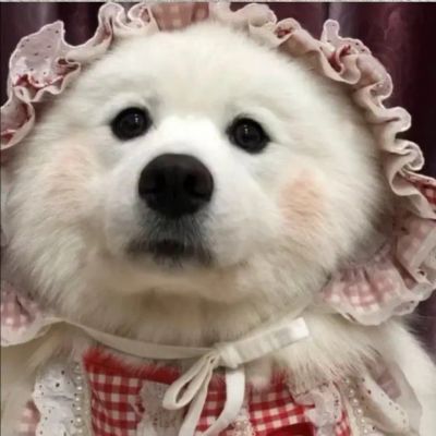 

<p>有钱的爷们三妻四妾，没钱的屌丝左右互搏。</p>