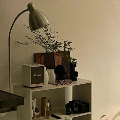 <p>我的前面是聪明的敌人，后面是无能的同伴，我必须同时与这两者搏斗。而且我自己也不是众望所归的目标。</p>