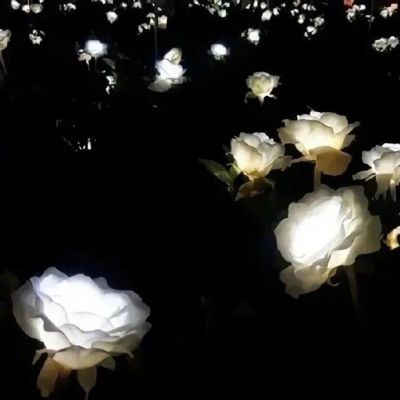 <p>虽然是这样，不过回想起来，以前的我也许是一直受着眷顾。</p>