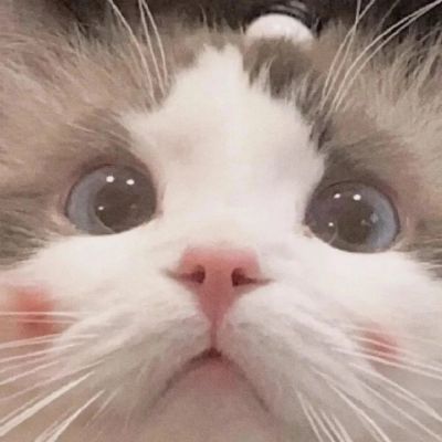 <p>想和你重新认识一次 从你叫什么名字说起。——你的名字</p>