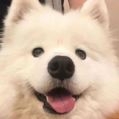 <p>千年沧桑，世事变迁，不变的是棋盘上惊心动魄的撕杀，棋士内心的执着，还有……对围棋恒古不灭的热情!</p>