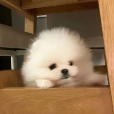 <p>虽然不知道是明天、后天，亦或是数十年后，终点总有一天肯定会降临。</p>