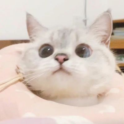 <p>人到中年事业成功，你到中年成功失业。</p>