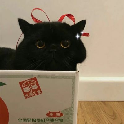 

<p>从今天开始我不会再洗头，因为我要在跨年的时候，为你下一场雪。</p>